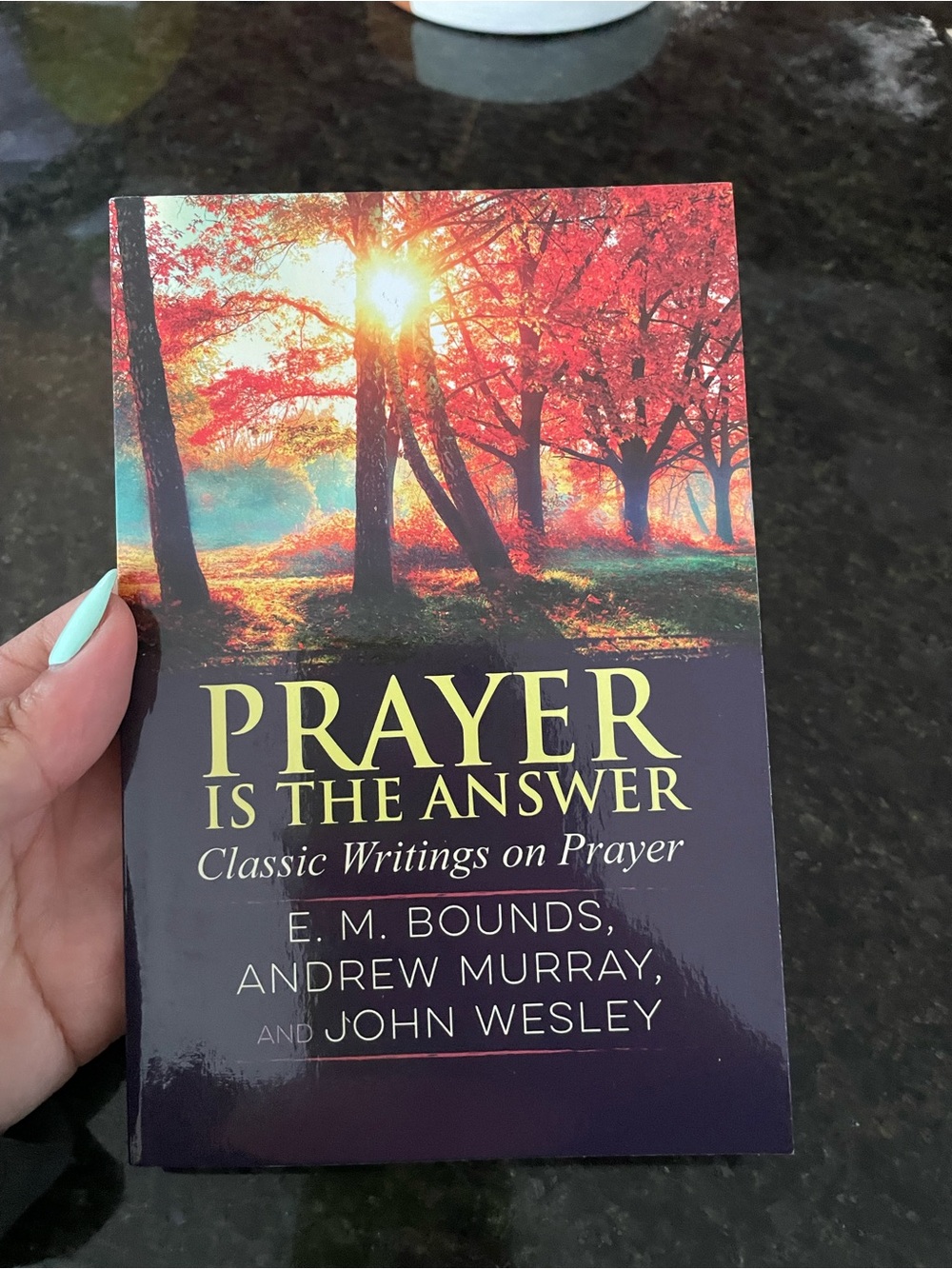 Prayer is the answer Book
